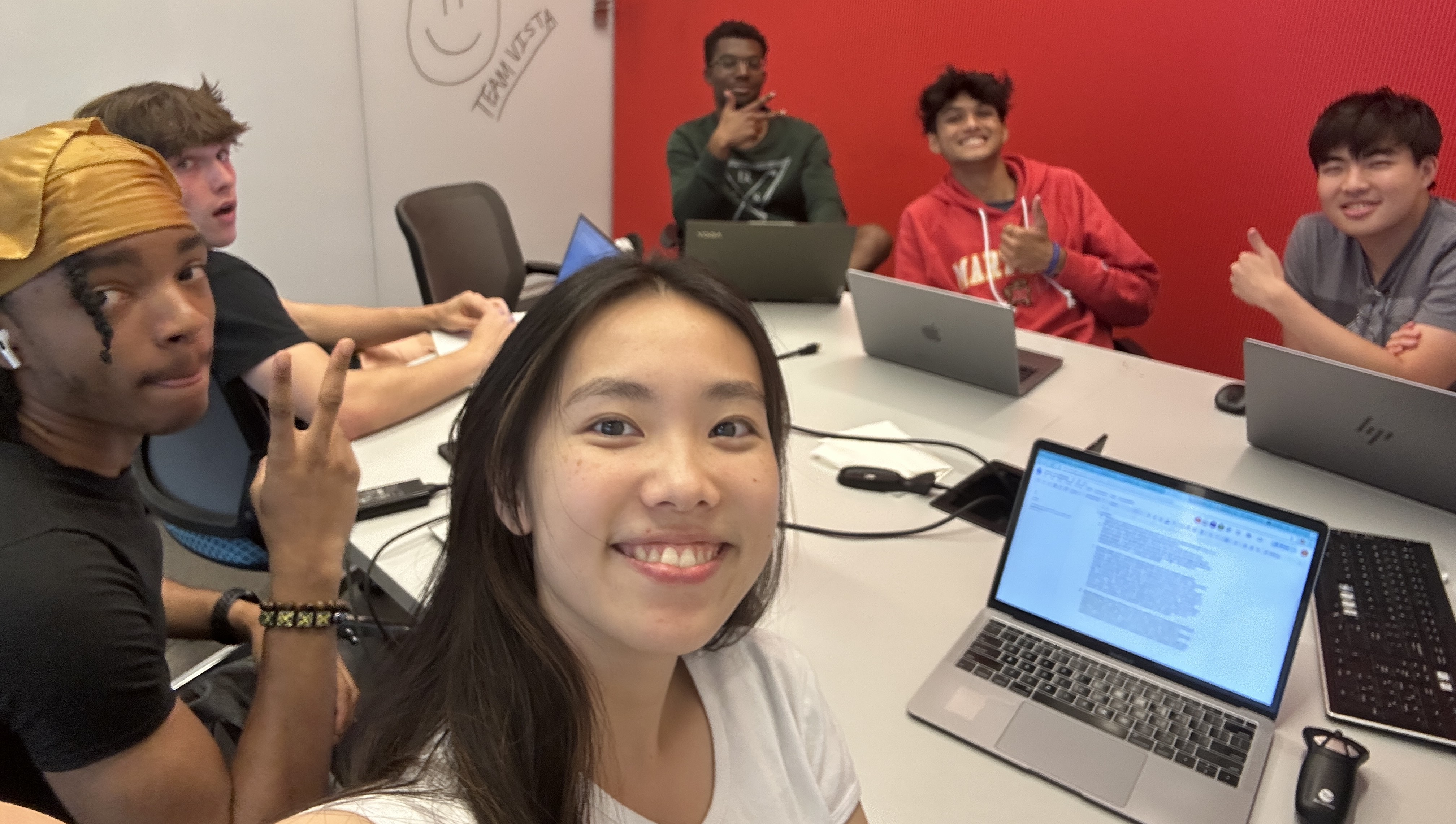 Team VISTA Working Session